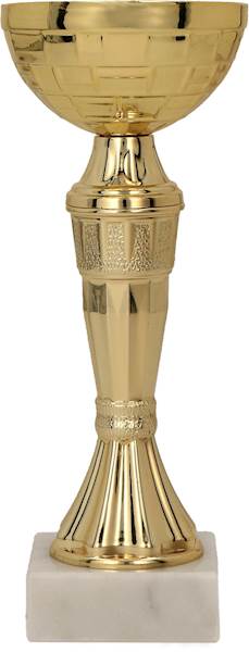 Puchar 9111/G wys. 17,5 cm