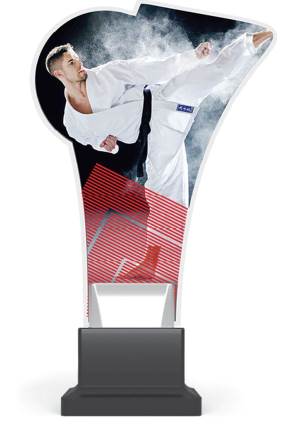 plexi CP02 karate wys. 20 cm