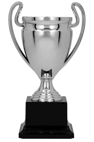 Puchar 9119B wys. 18 cm