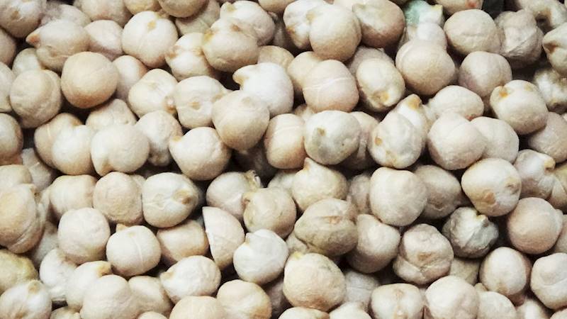 Ciecierzyca 1kg