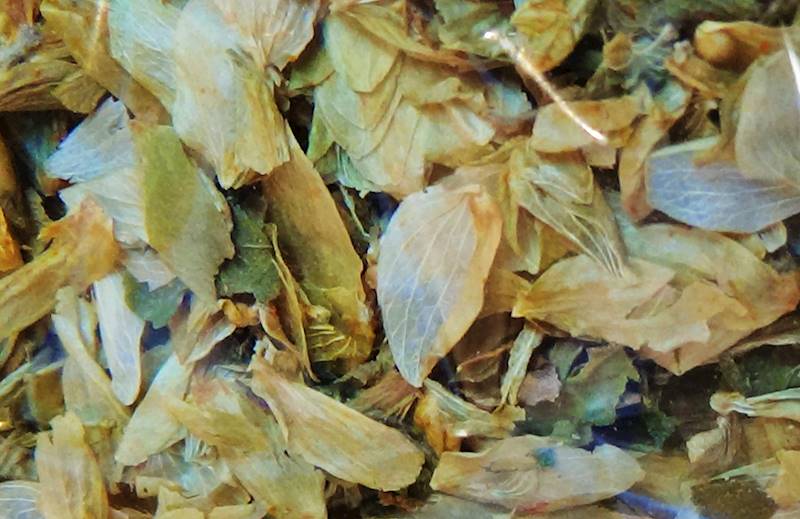 Chmielu szyszki a/50g