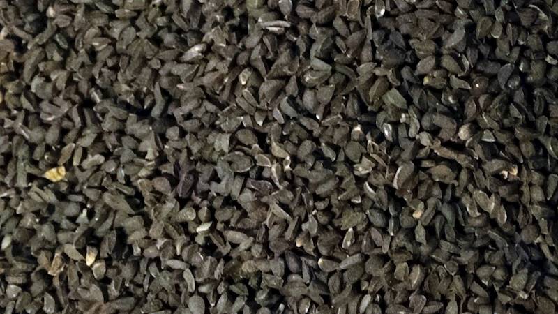 Czarnuszka 100g 8