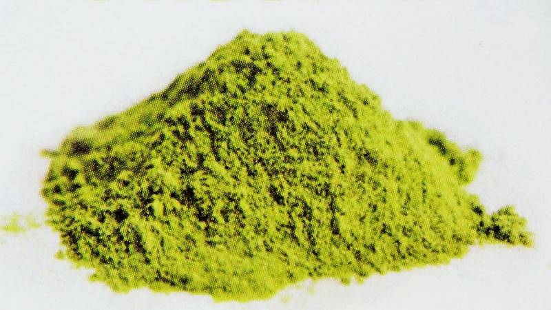 Jęczmień zielony - proszek 500g