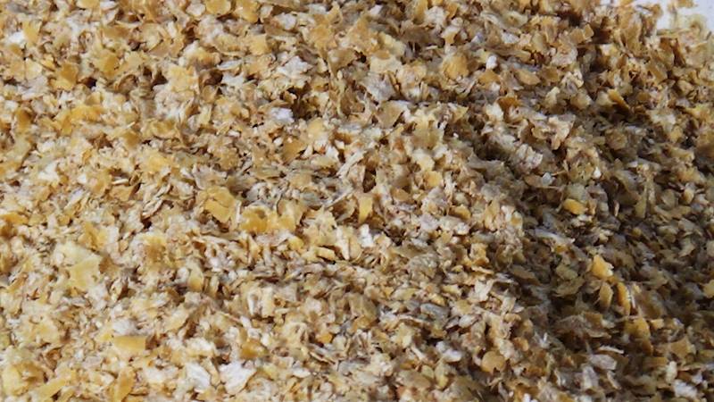 Otręby pszenne 500g