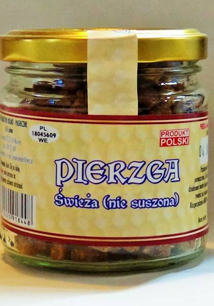 Pierzga świeża - słoik 100g