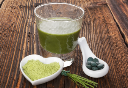 chlorella_mini.png
