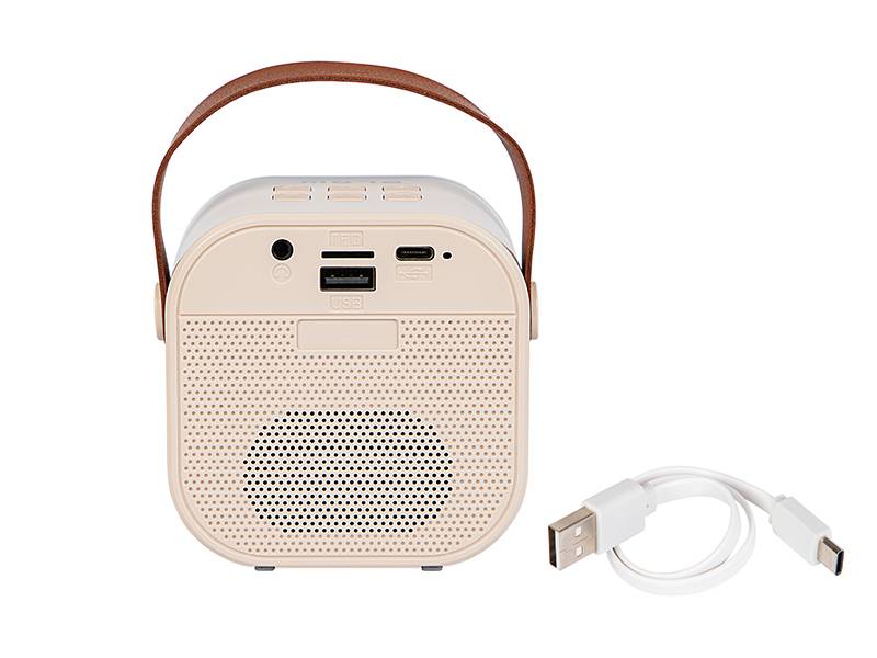 Głośnik Bluetooth KARAOKE RGB 2 x mikrofon