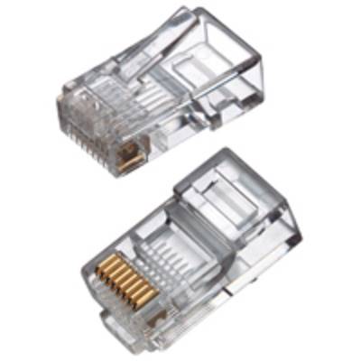 Wtyk RJ-45 drut