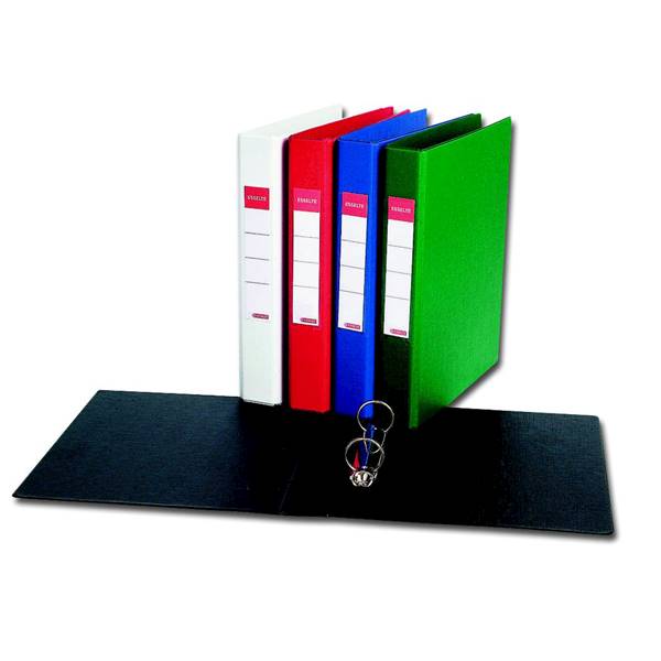 segregator    A4 / 2 ringi