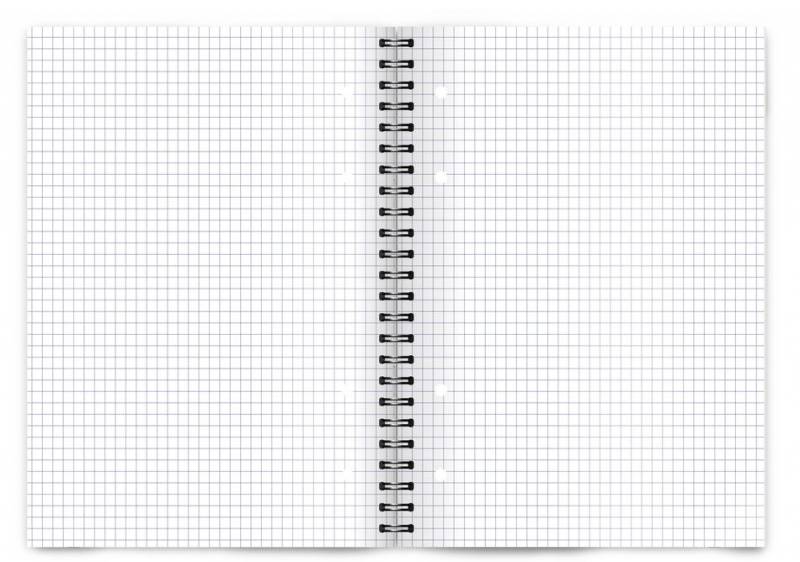 kołonotatnik A4 100k kratka