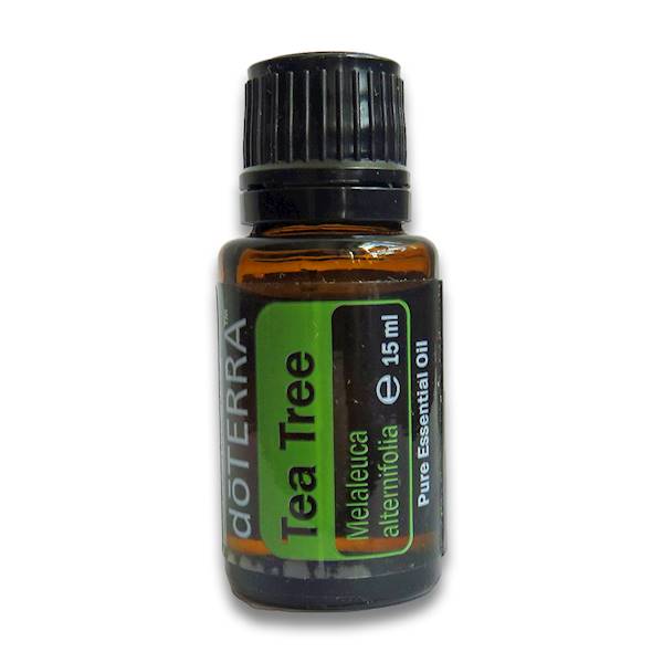 doTerra olejek eteryczny Drzewko Herbaciane 15ml