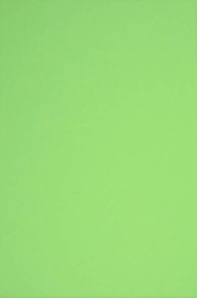 Papier ozdobny brystol B1 70x100 230g zielony