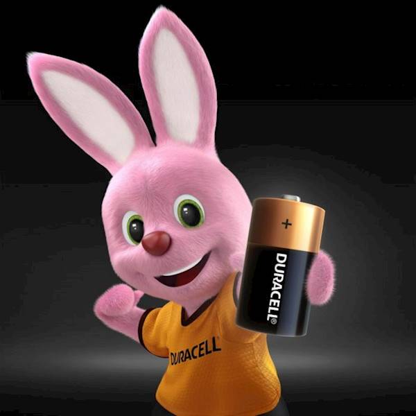 BATERIE ALKALICZNE DURACELL EXTRA LIFE C LR14 MN1400 BLISTER 2SZT