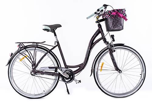 ROWER STORM PARIS 28" 17" 3B AM ŚLIWKA MAT