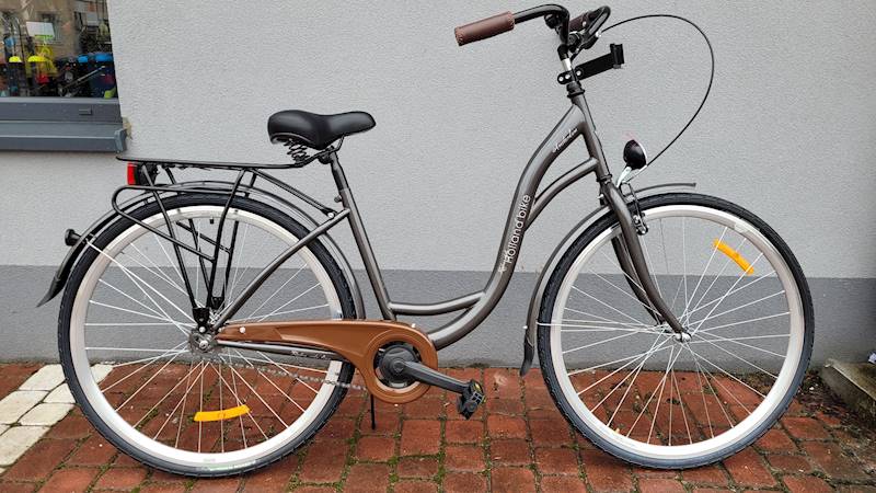 ROWER STORM AMSTERDAM 28"  17" 1B ZŁOTY GRAFIT