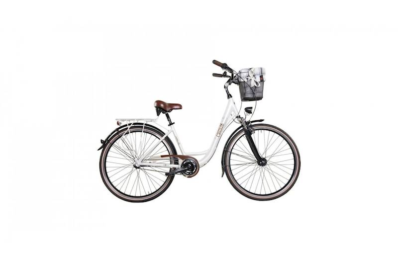 ROWER COSSACK ECONOMIC CITY 28/3