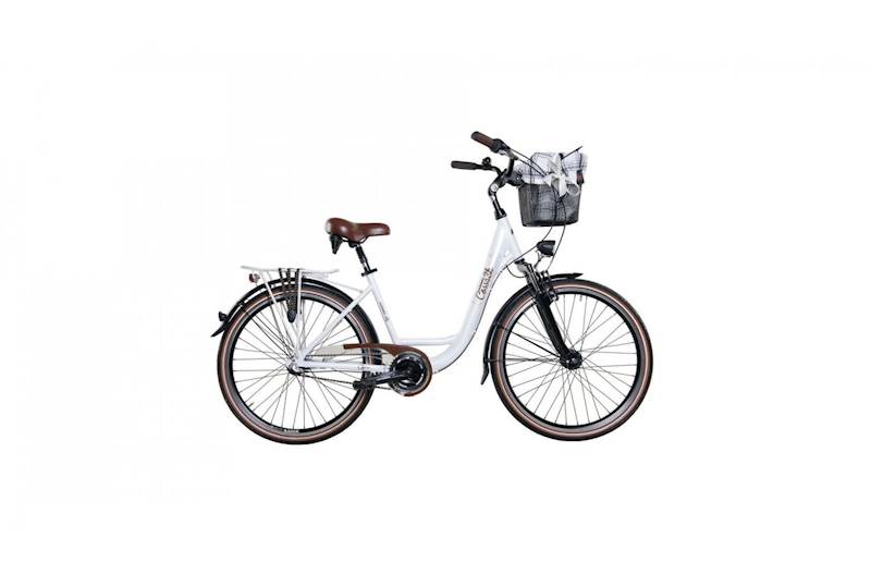 ROWER COSSACK ECONOMIC CITY 26/3