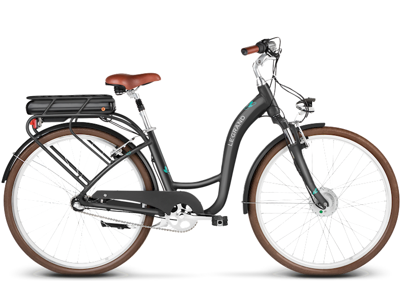 ROWER Le Grand eLille 1.0 D 28 L 2019