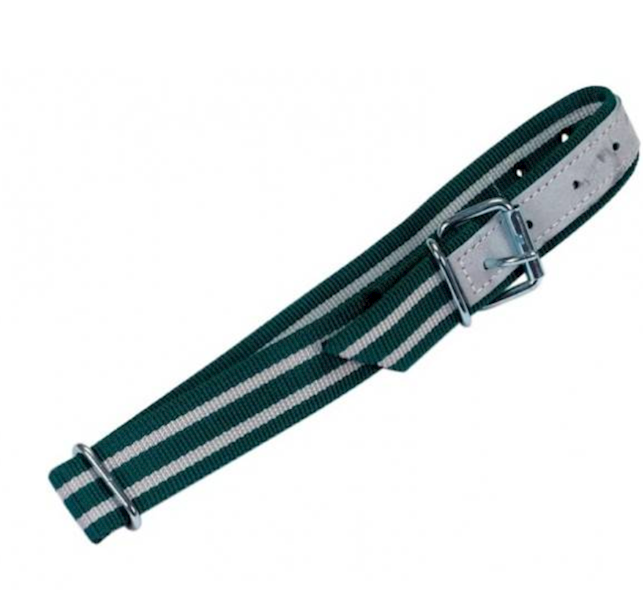 Obroża 130 x 4 cm z ogniwem D, Standard