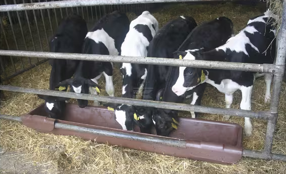 koryto zawieszane 200 cm 100l