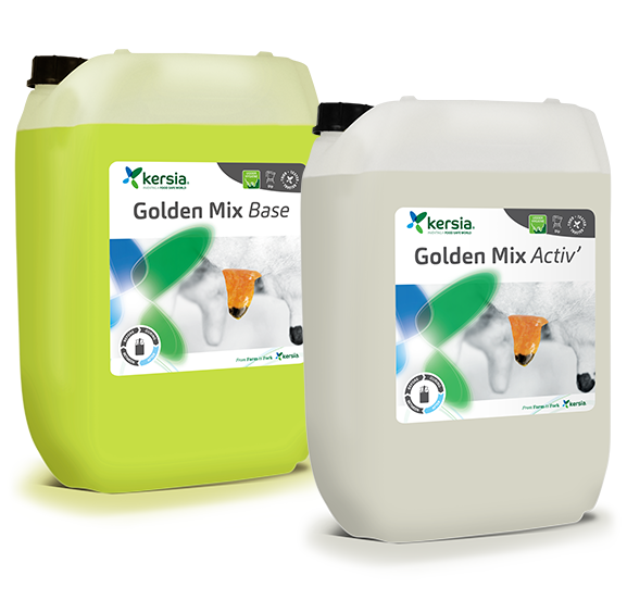 Golden Mix 20kg (2x10l)