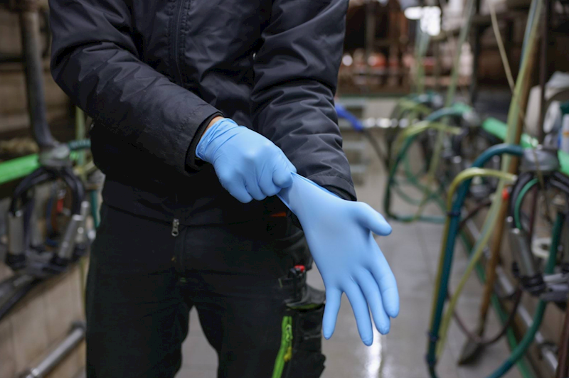 Rękawice Nitrile Premium Plus roz. L niebieskie 50 szt 