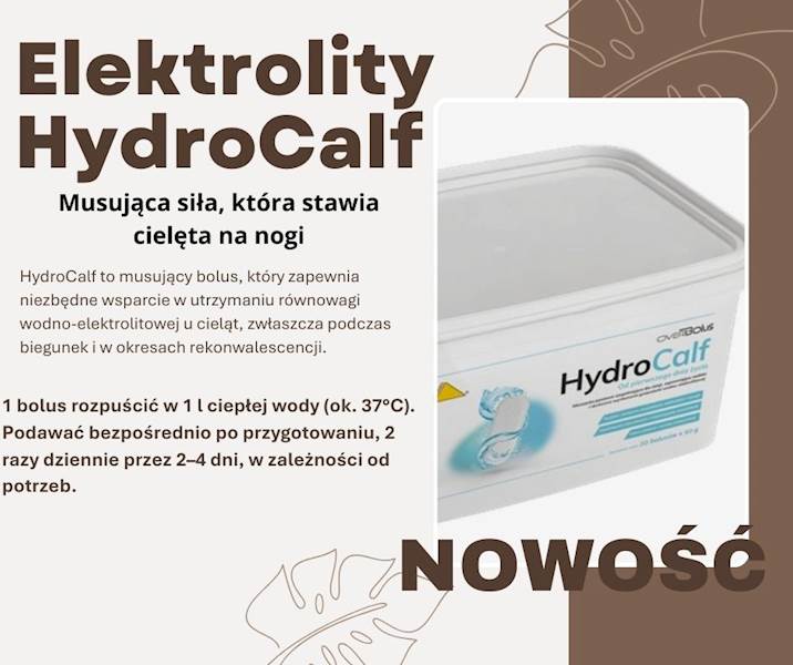 Over Bolus HydroCalf / 31.01.2028