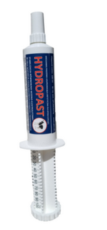 HYDROPAST 100 ml
