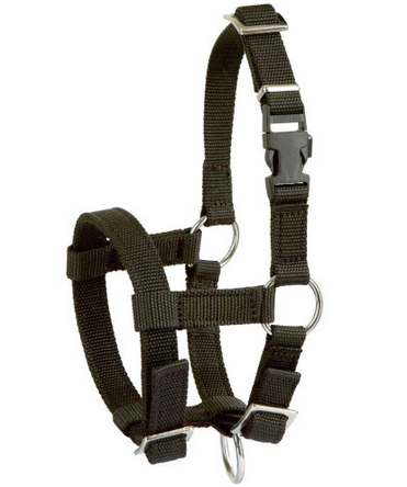 Kantar dla alpak, regulowany, czarny, Kerbl