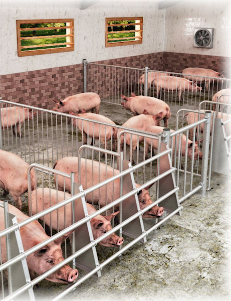 Przegroda żywieniowa L-60 oc. 