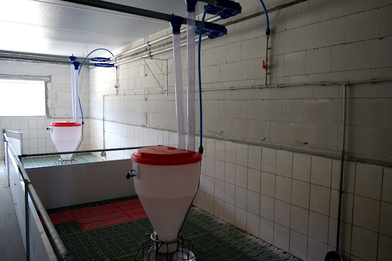 Ruszto Rubin 400 x 600 