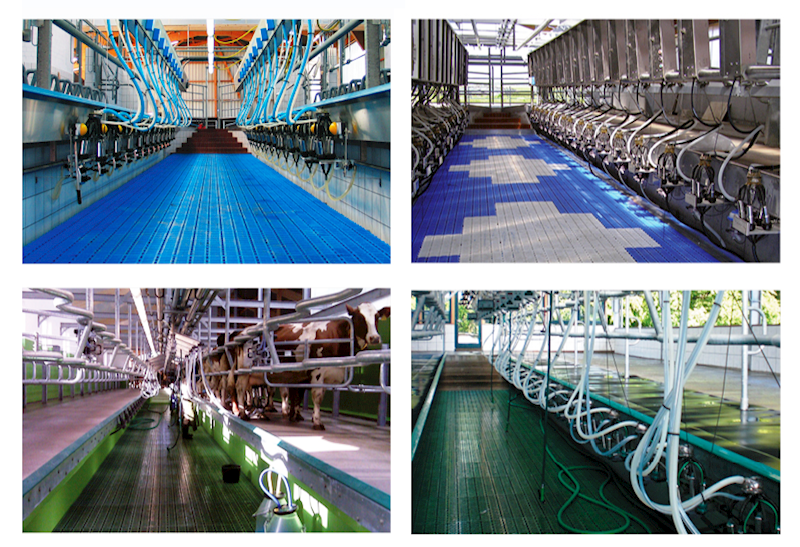 Ruszta plastikowe do hal udojowych 