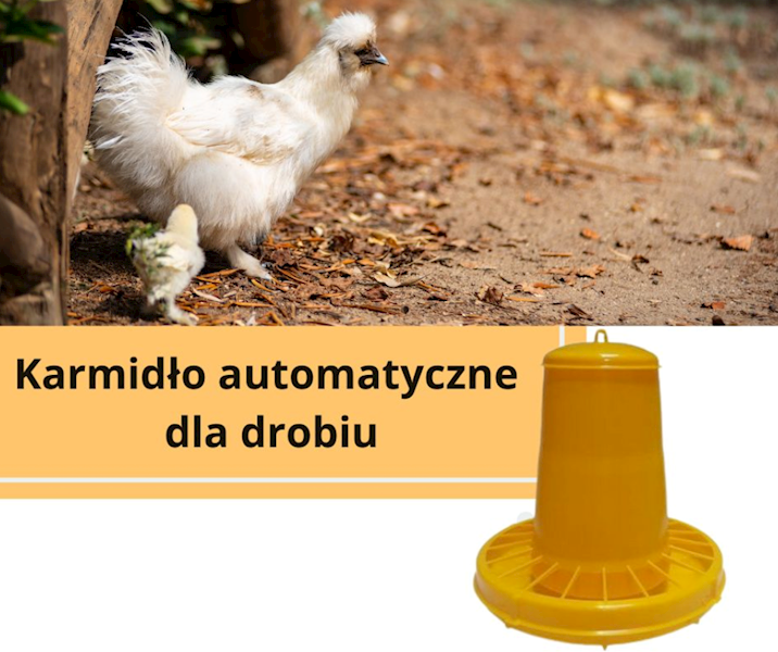Karmidło automatyczne dla drobiu, żółte, 20l, 15kg, Novital