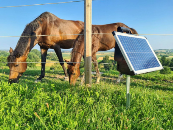 Elektryzator solarny TITAN S 4200 dla koni bydła, owiec, kóz 4,2 J