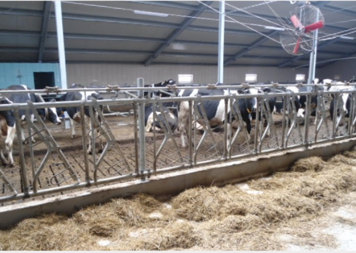 Drabina paszowa zatrzaskowa DPZ OC.