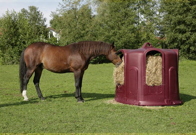 Paśnik na baloty dla cieląt i koni, 5 stanowisk burgundowy 