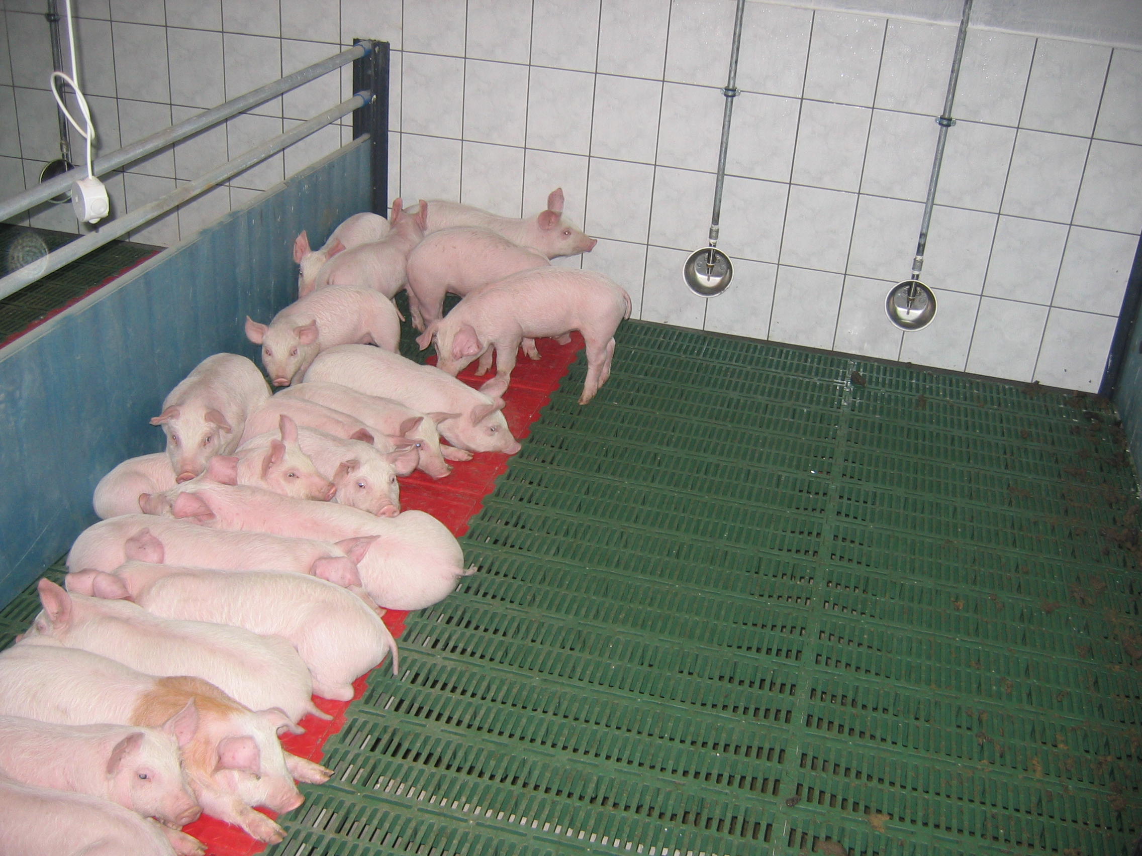 Mata grzewcza wodna THERMO W i E 400x600 mm