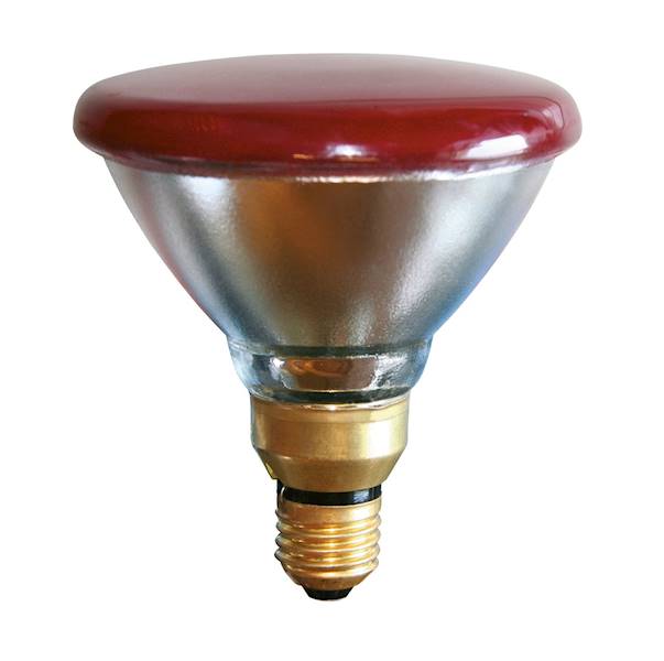 Żarówka do lampy napromiennikowej , 175 W , Czerwona , PAR38 KERBL