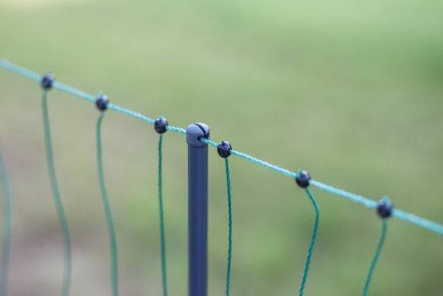 Siatka nieelektryczna dla drobiu Premium 50 m 122 cm podw. szpic, zielony, Kerbl