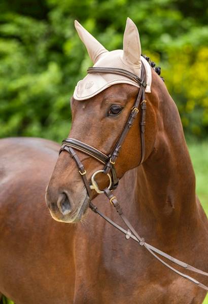 Nauszniki S/S 2024 kremowe Cob/Full