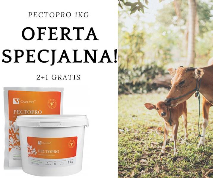 PECTOPRO 1KG-OVER WIADRO PROMOCJA 2+1 GRATIS