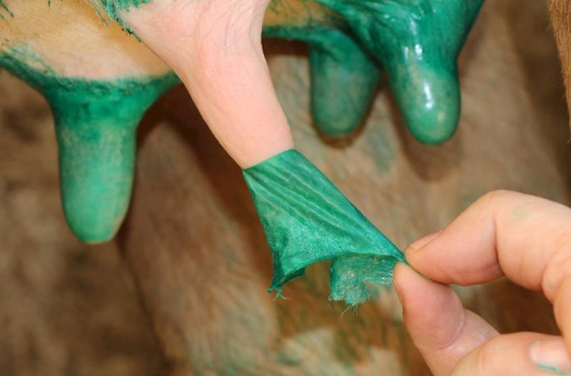 Farmann herbafilm 5L Dipping do wymion 