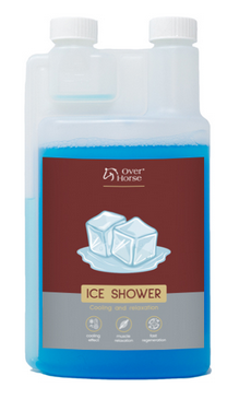 Ice Shower Over Horse