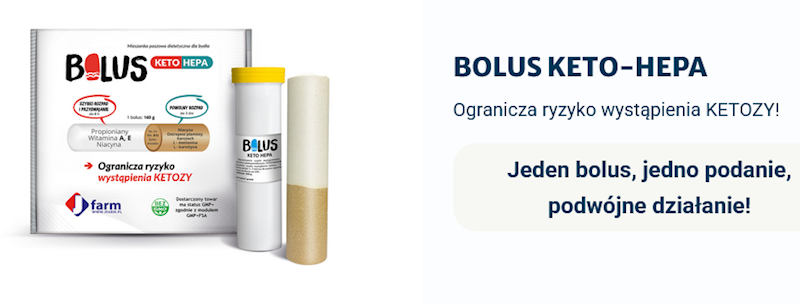 BOLUS KETOHEPA 160g 4 szt w opakowaniu