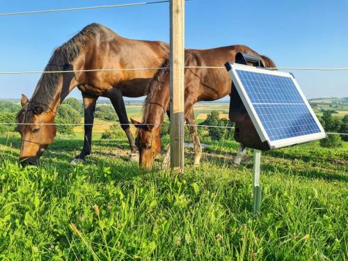 Elektryzator solarny TITAN S 4200 dla koni bydła, owiec, kóz 4,2 J