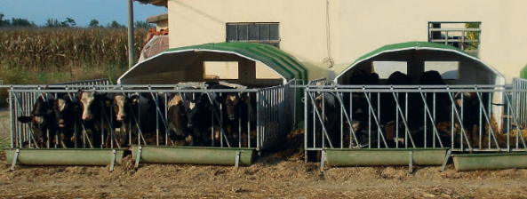 Budka dla 10-12 cieląt od 2-6 miesięcy Agribox 