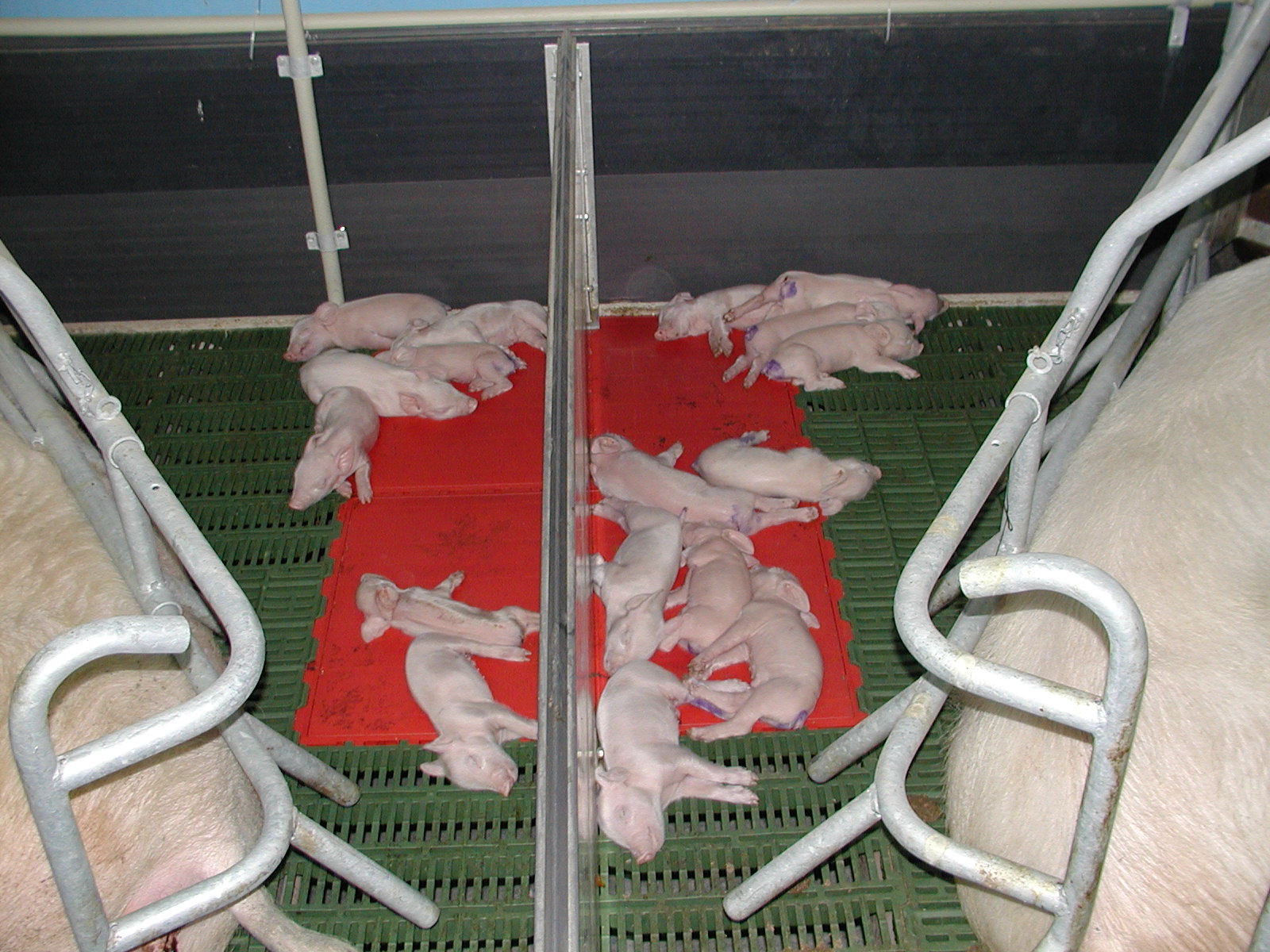 Płyta grzewcza Thermo E 400 x 600 mm