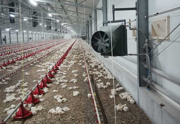 Nagrzewnica wodna NW 50 AGRO