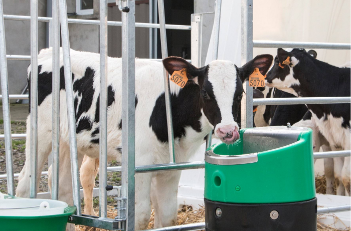 Poidło Lakcho 2 (24V/80W)