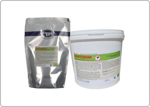 Kryptodiar 1KG przeciwbiegunkom 